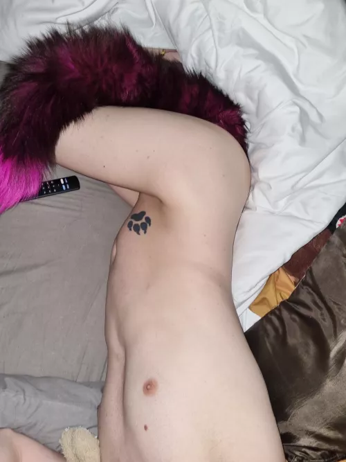 tail anyone? ;) by MiddleImagination307