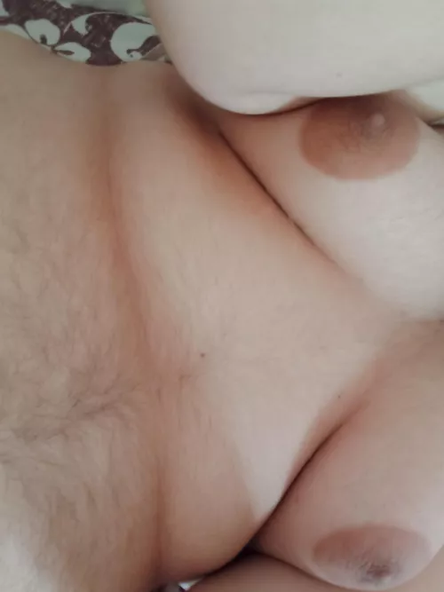 wanna play ? by him0e