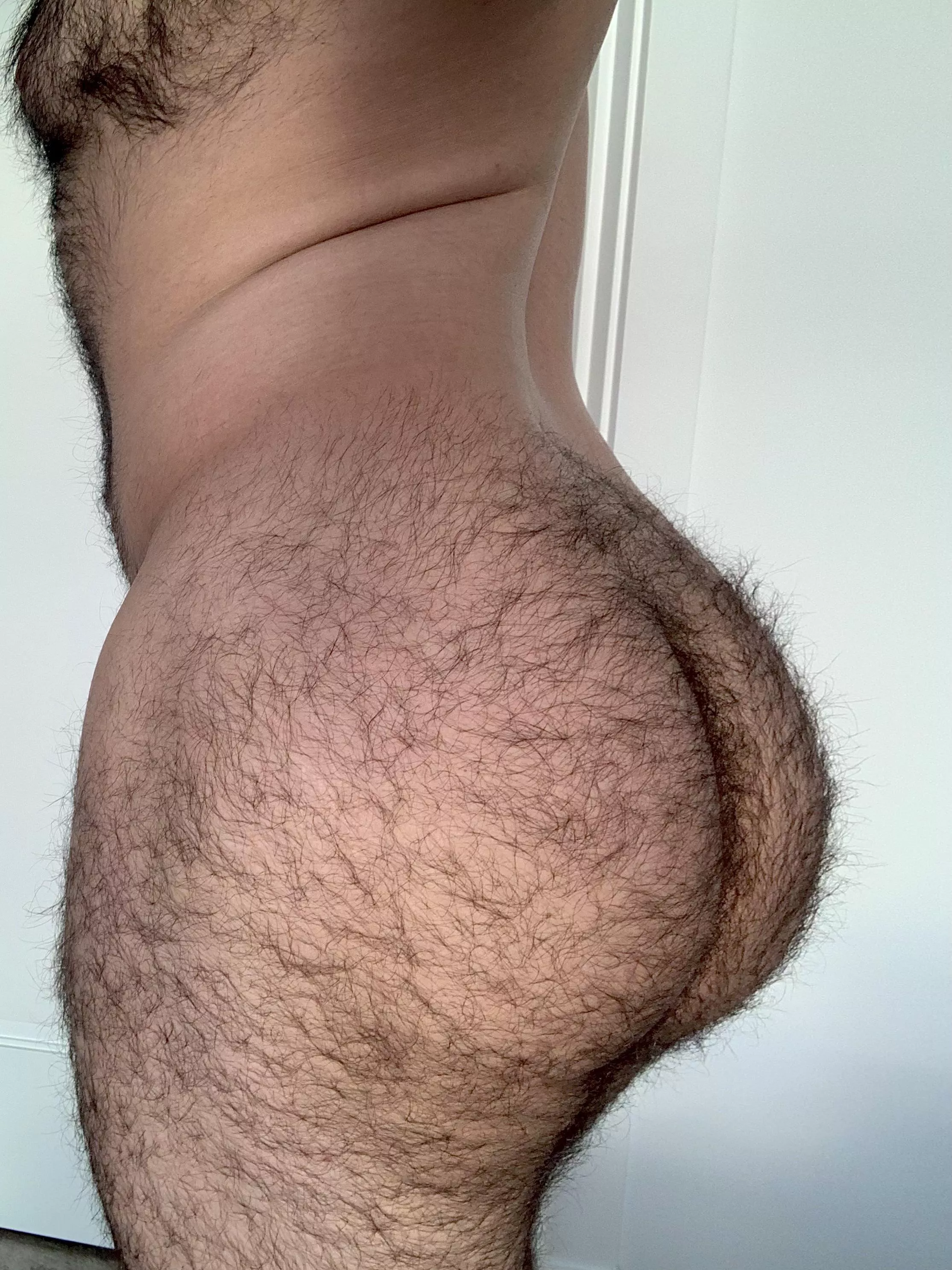 WHO LIKES MY HAIRY BUM? posted by Balooooooooooo