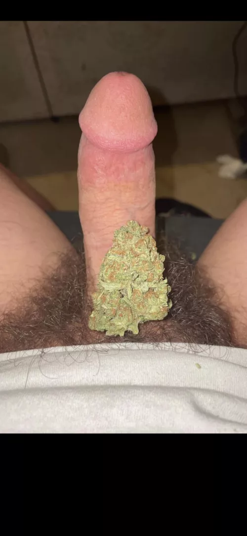 (18) Fatty420 by Advanced_Object_3800