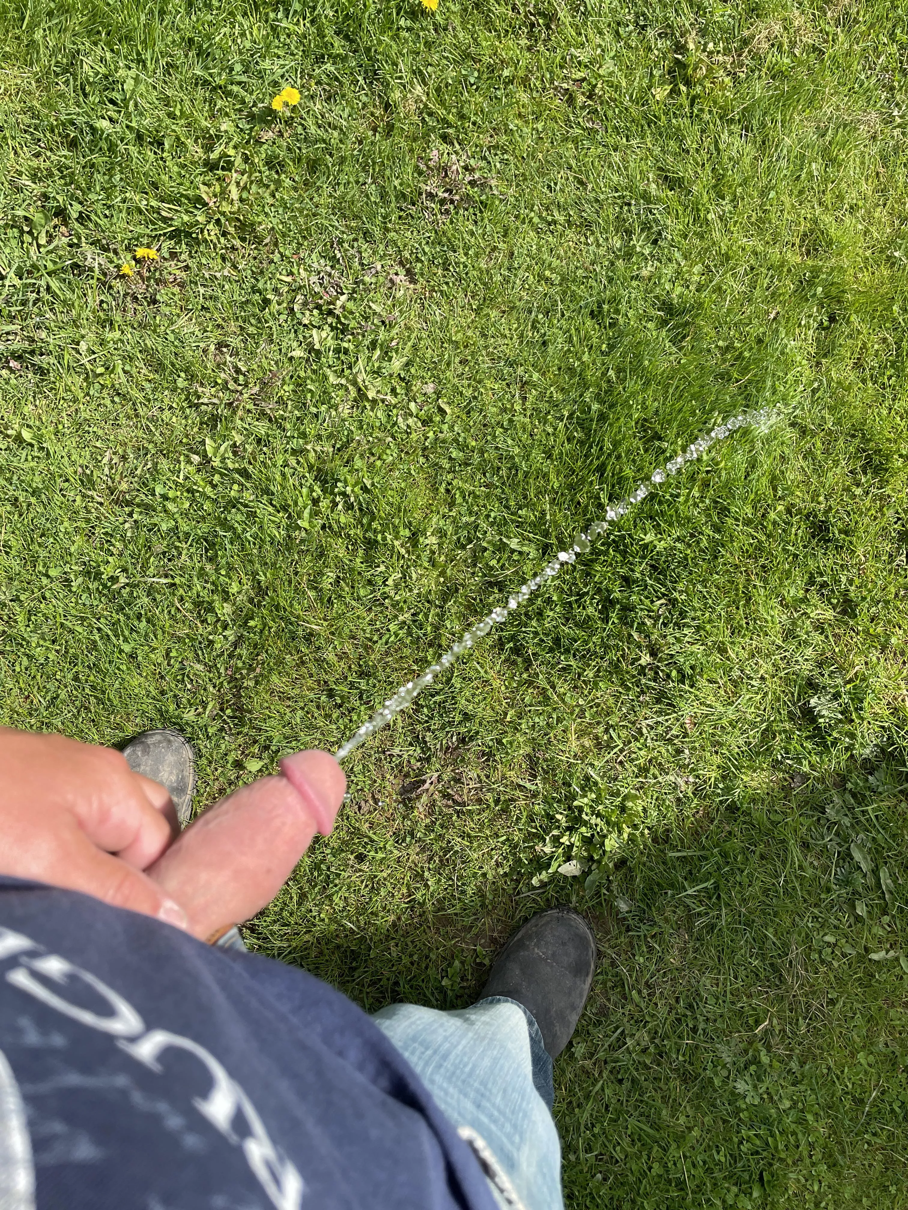 [39] gotta keep the grass watered posted by tater347