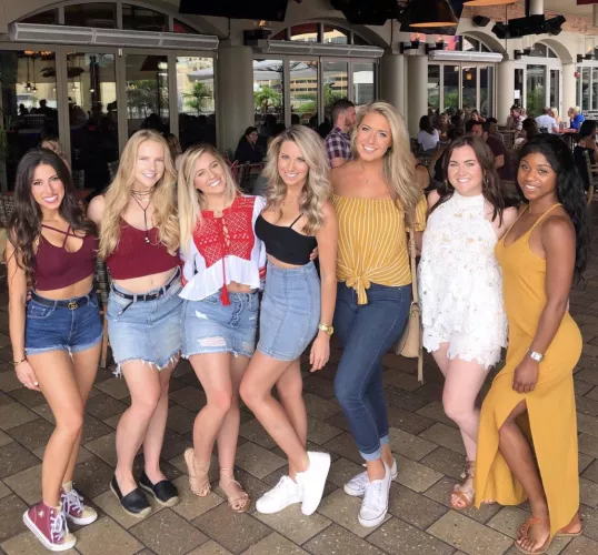 5341276 by knightplaya