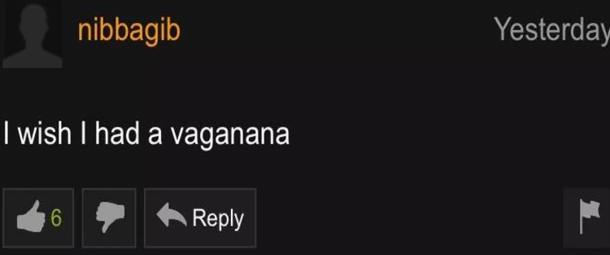 A beautiful dream by craftilyApply705