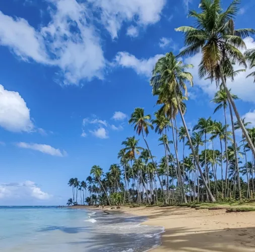 Dominican Republic😍 by MelissaDior