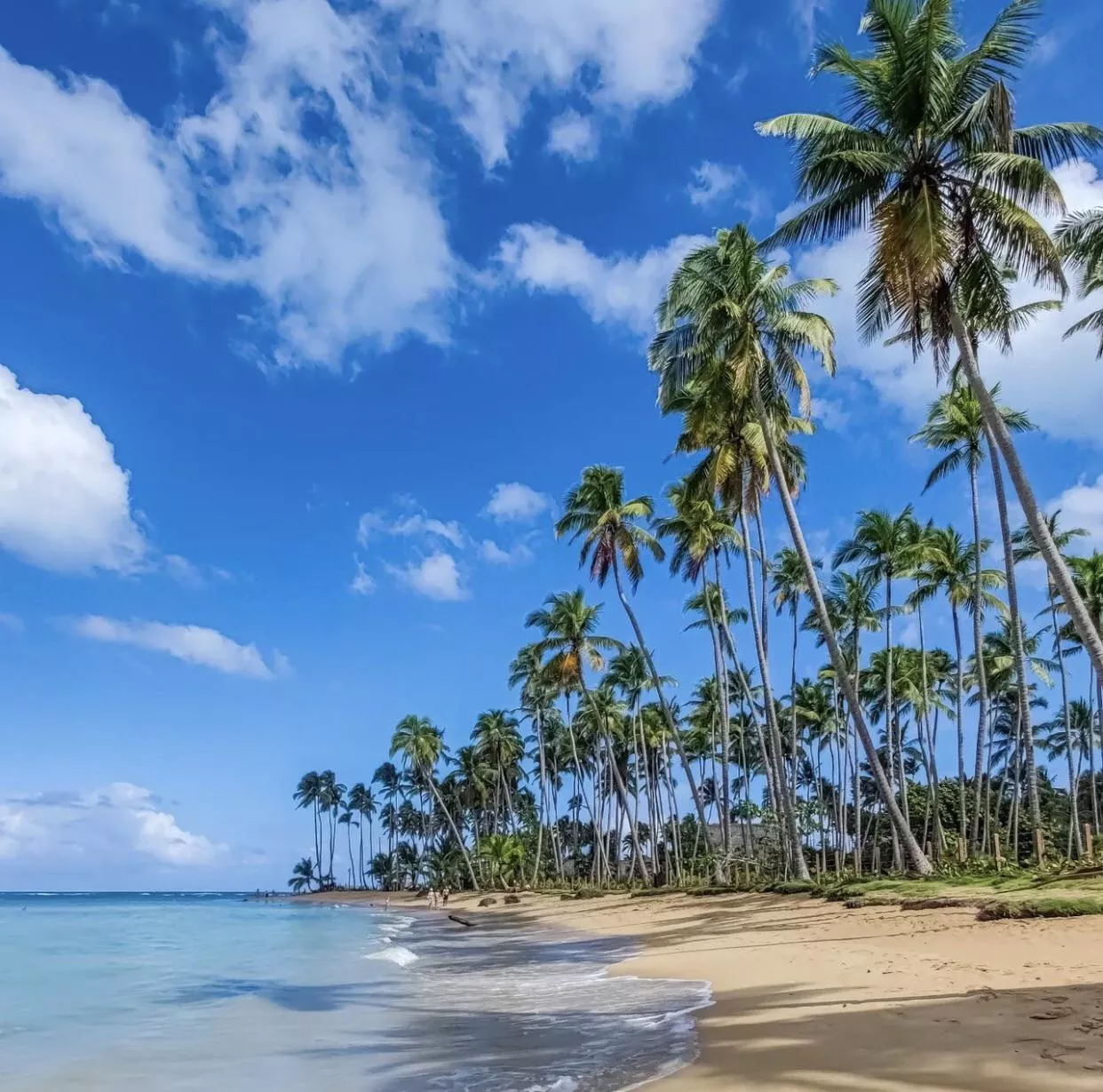 Dominican Republic😍 posted by MelissaDior