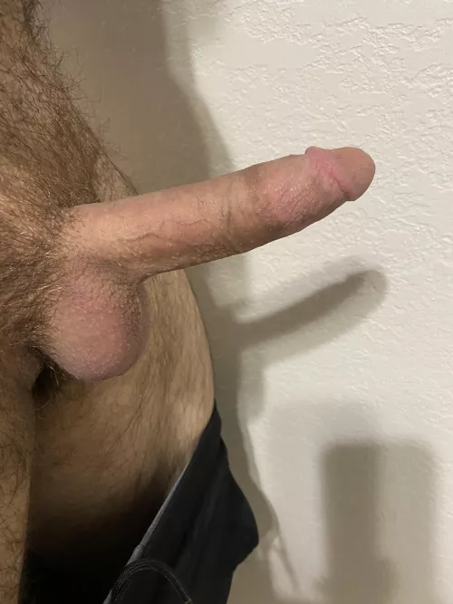 I enjoy looking at all your cut cocks. Cheers to Monday, boys. by buddy2300