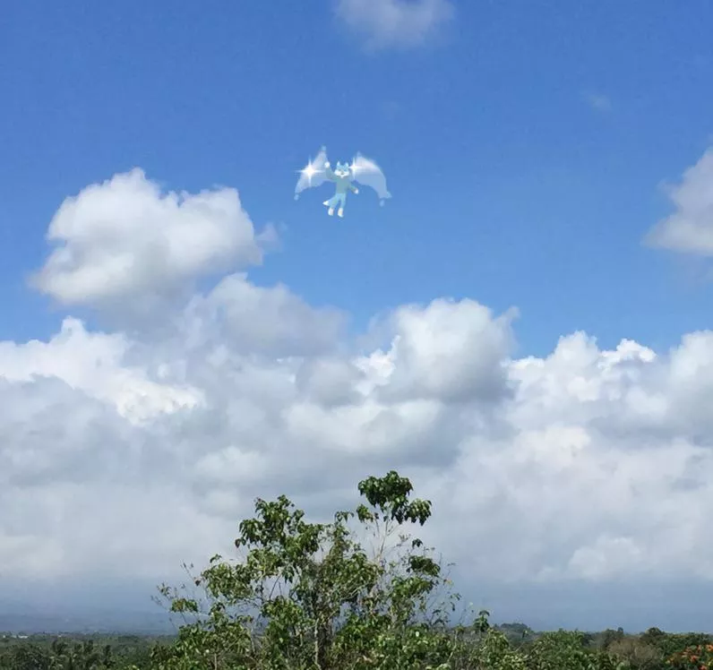I.F.F. - Identified Flying Floof posted by AF9005