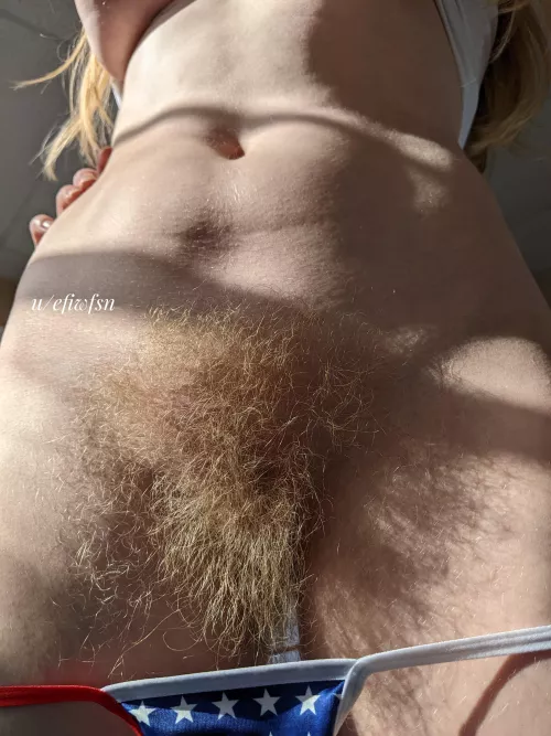 Is there anything you'd like to bury in my rug? by efiwfsn