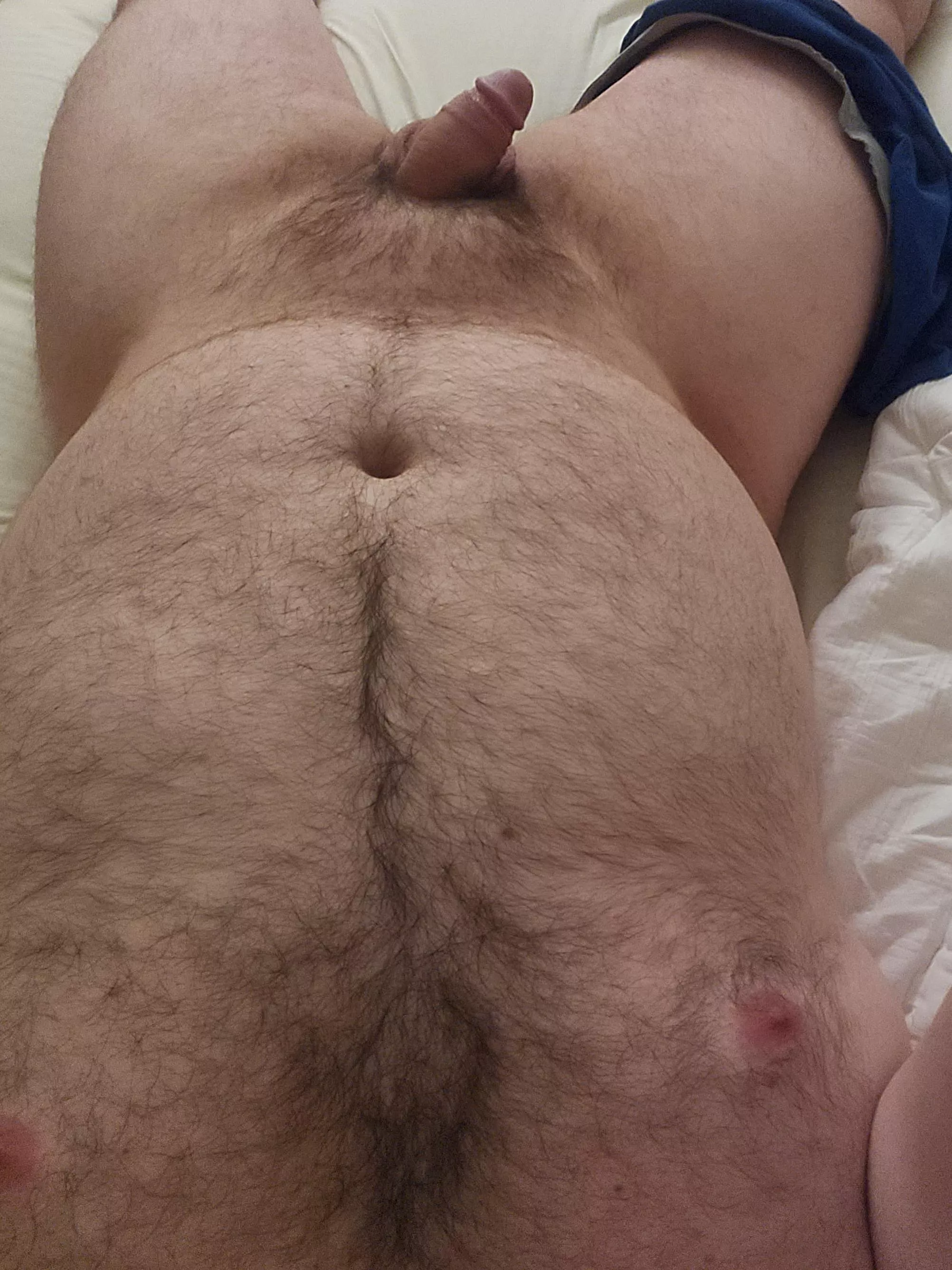 Lazy Sunday Lounging posted by ToughNutt001