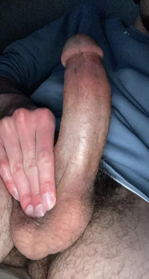 Let me see your wife I tell you if I breed her deep by Possible-Track3211