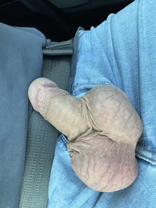 Love pulling my dick out on the drive home by tay_jay202