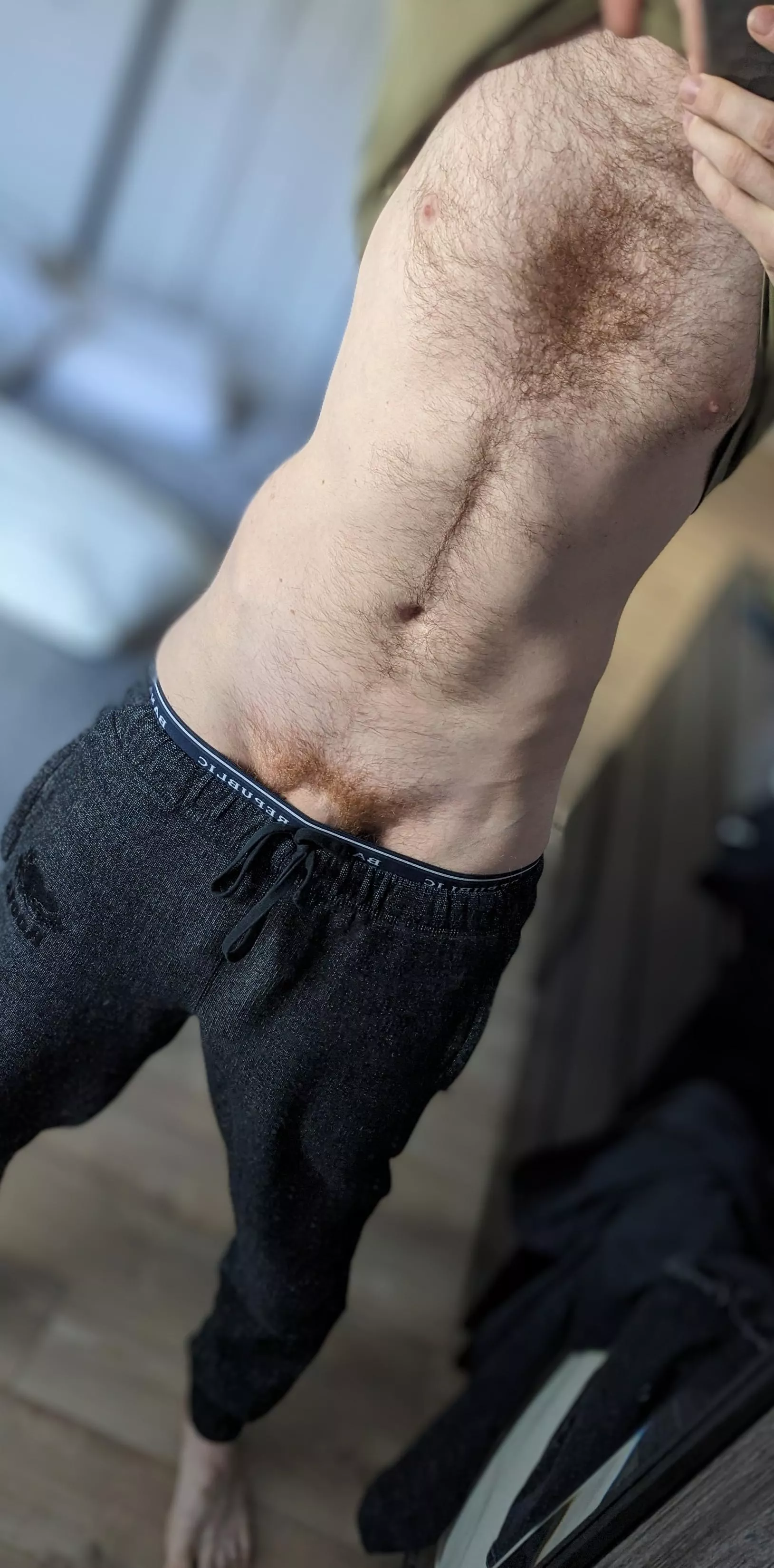 morning light. who wants to pull them down ;) posted by glc23