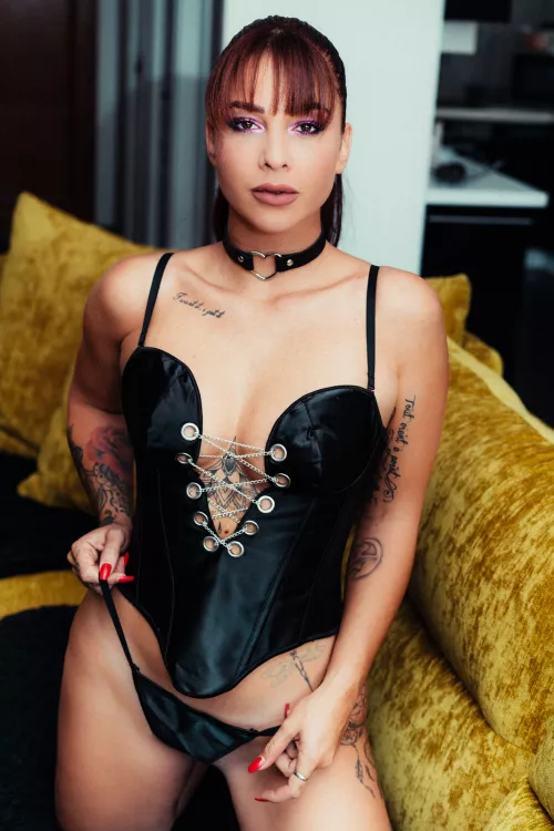 Naughty frenchie on duty by Suitable-Agent-4449