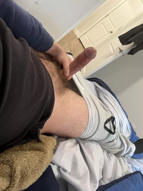 Nerd breeder by shysubreeder