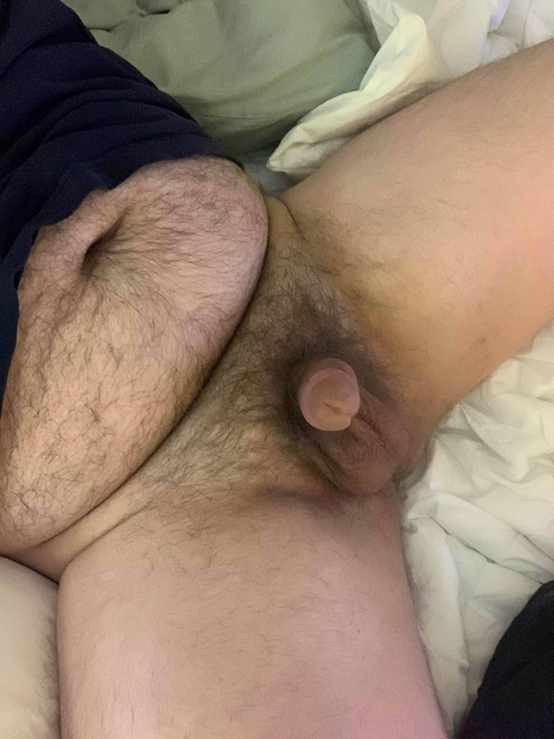 Real hairy men! posted by hunter-135