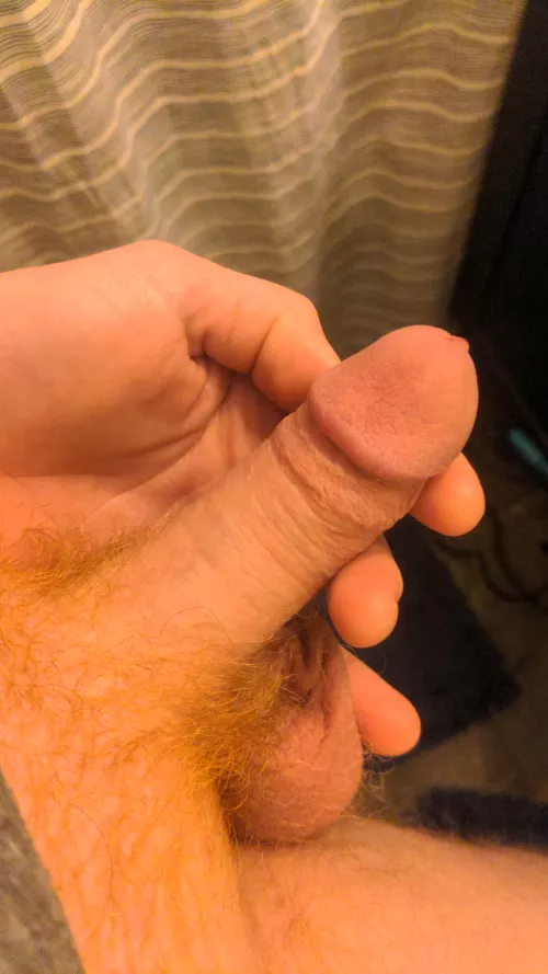 Softie by shyguy696969420