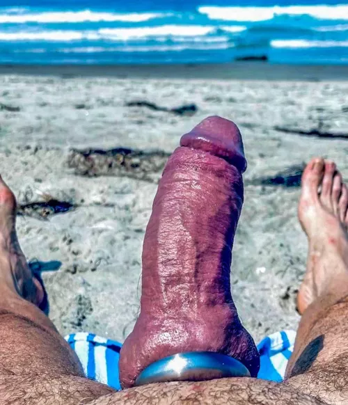 Spring break by cocksbcool