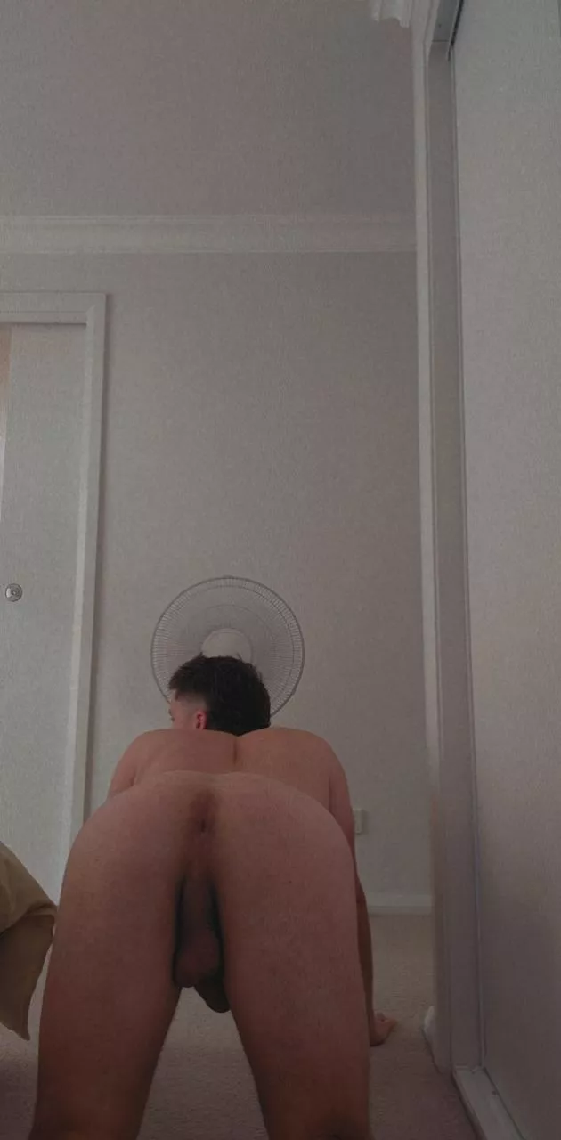 summer is killing me 🥵🥵 posted by giantsquid345