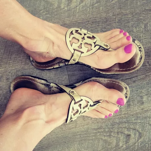 Sunday Funday by Flafootguy