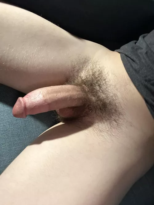 Thoughts on my cock? by niighttowwl