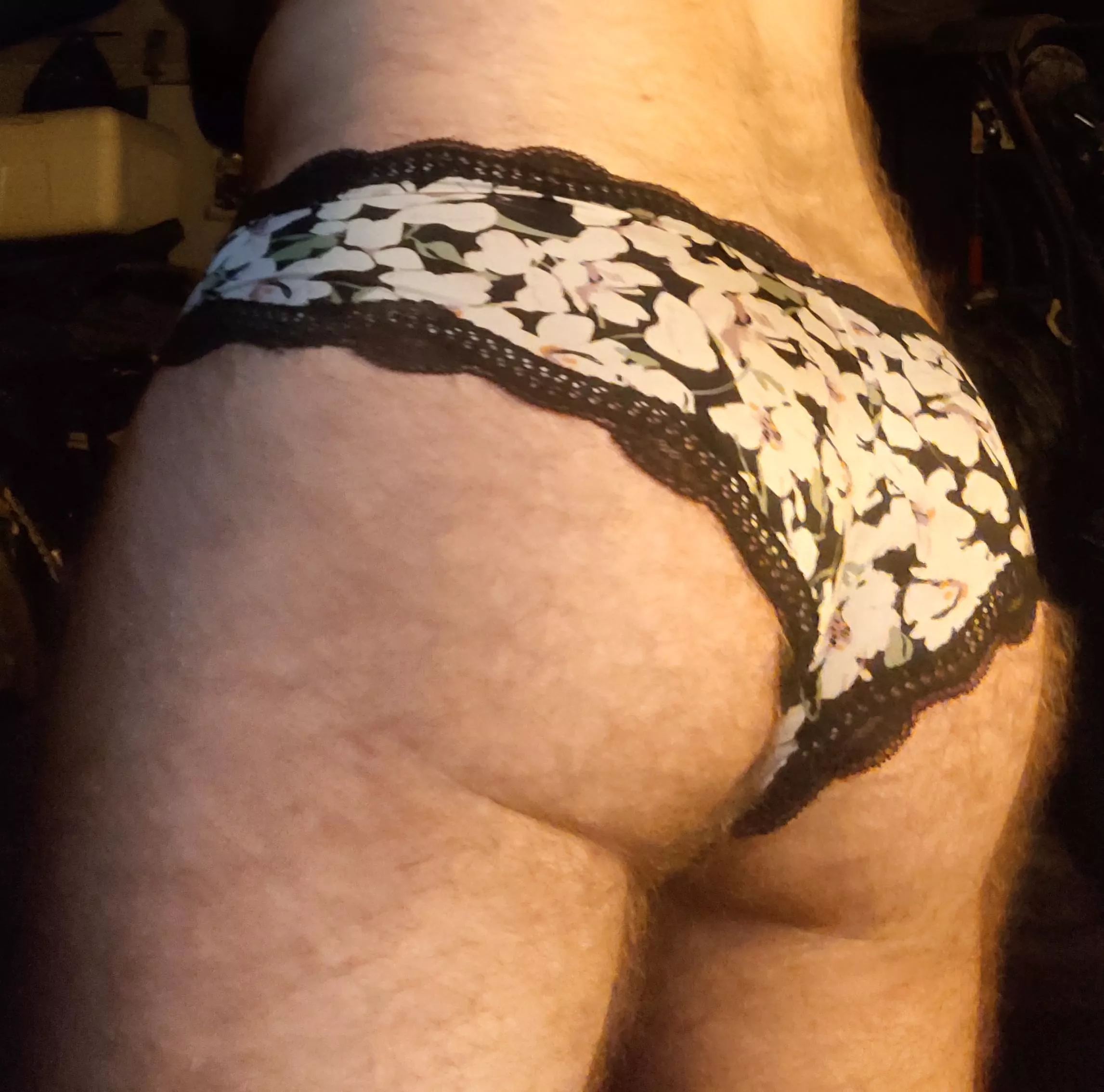 Who likes my ass? posted by curiousparadox83