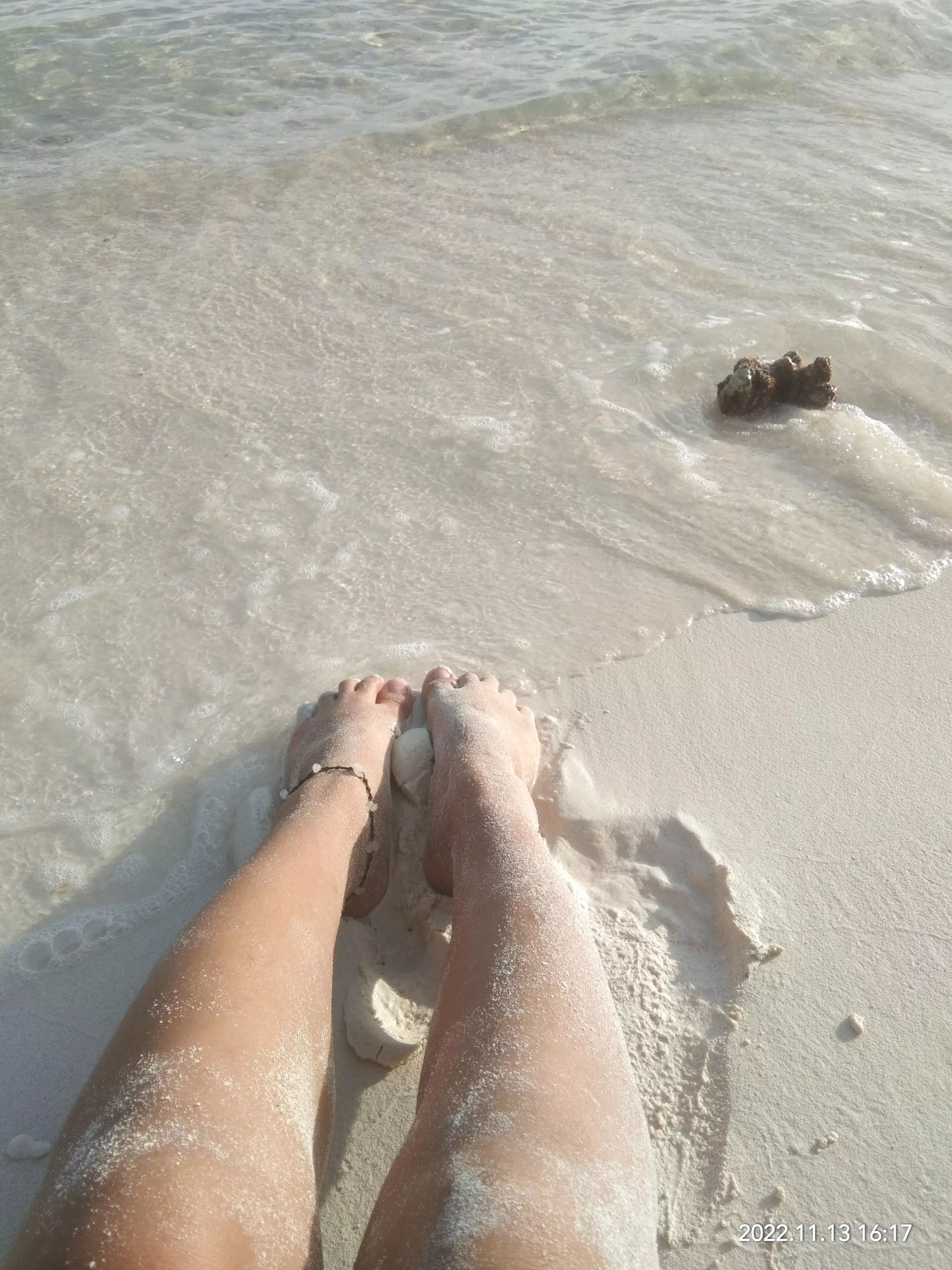 A place where you can smell peace posted by Organic_Bag8919