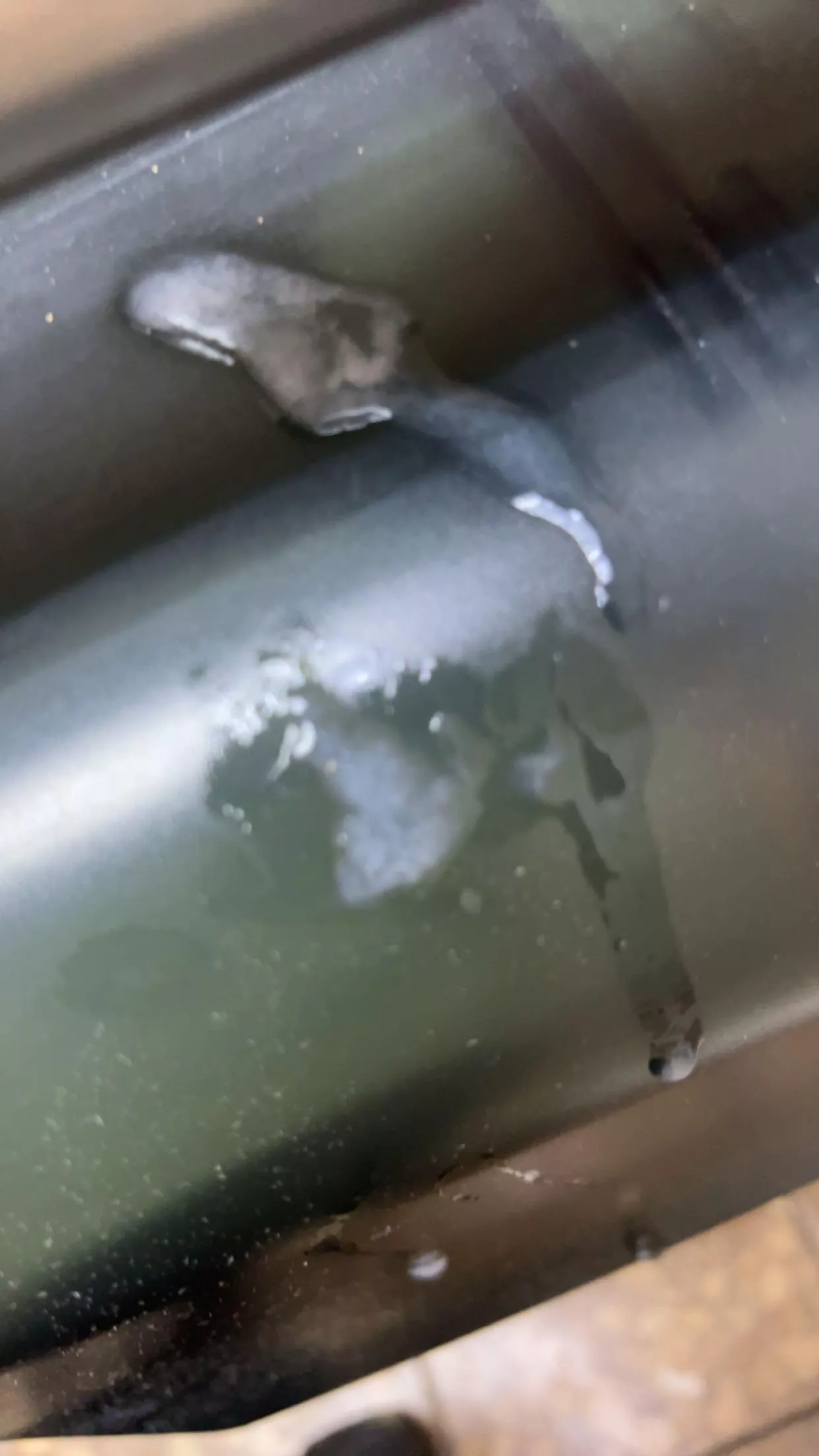 Came on the toilet paper holder at the mall posted by DR3WCAR