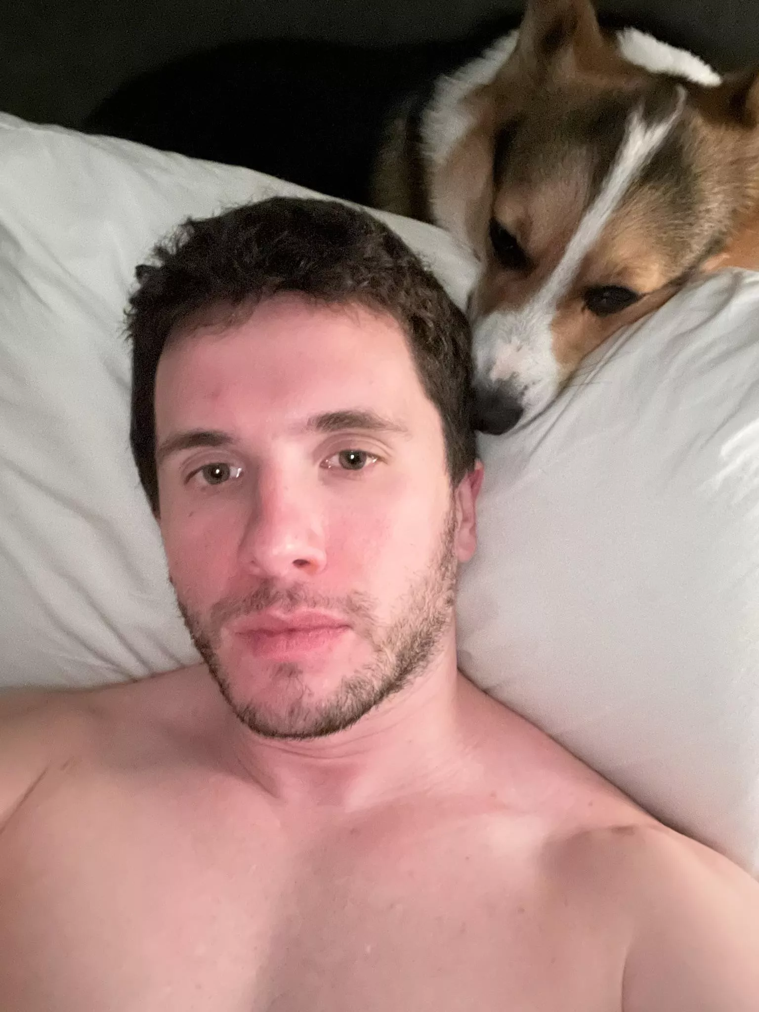Clinical insomnia and my dog is not impressed by my need to take selfies during this time... posted by StukelyT9