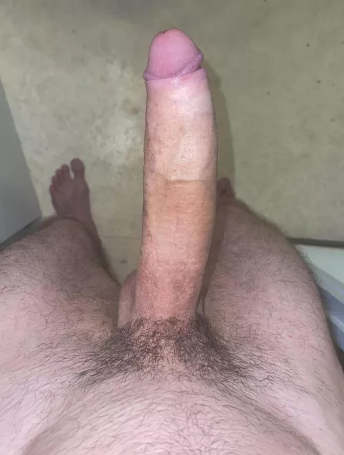 Daddy dick? by Bigdickguy24cm