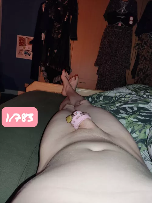 Day number 1 of 783 ( am allready locked about 50 days ) , how should i keep Reddit updated of my chastity journey ? 🥵😍 by DutchSissySlut420