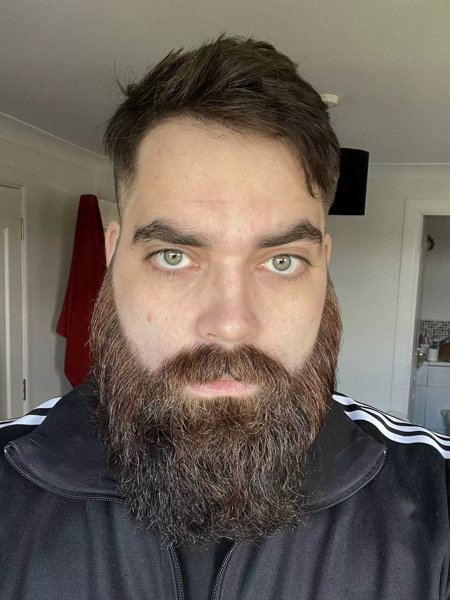 Hair cut and beard trim. Feeling good posted by Fredcod