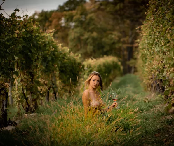 In the Vineyard by KriseaMarina
