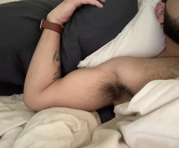 It’s been a lazy day for me by proudplantdad