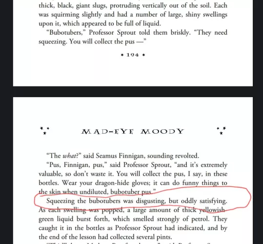 JK Rowling is definitely a pimple popper by happyburrito10