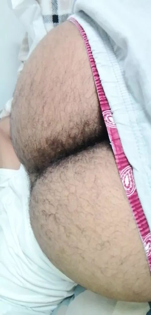 Need someone to Bury their face in my hairy ass. Dms open by Shaunpichu