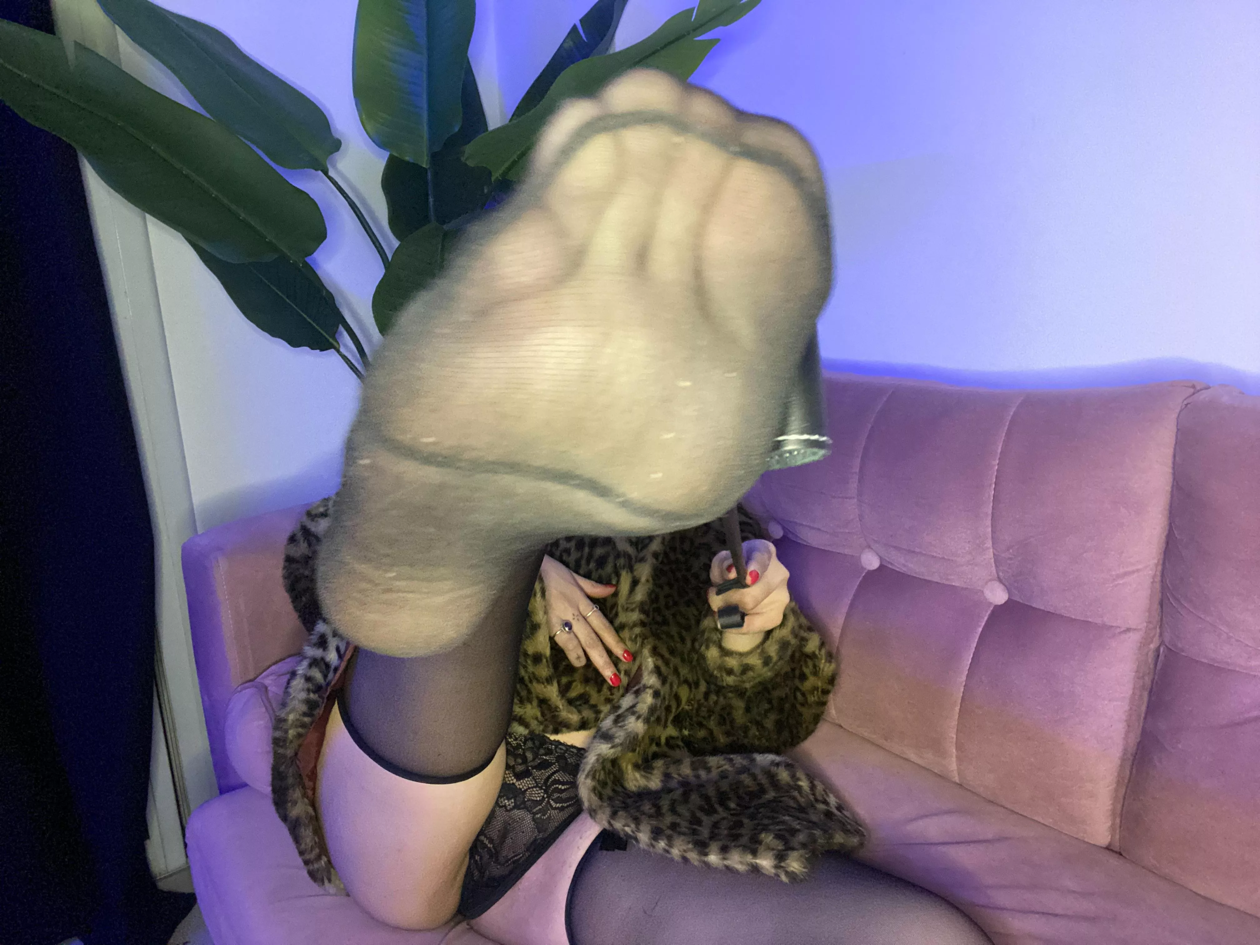 open yor mouth, foot bitch 😈 posted by prinsex777