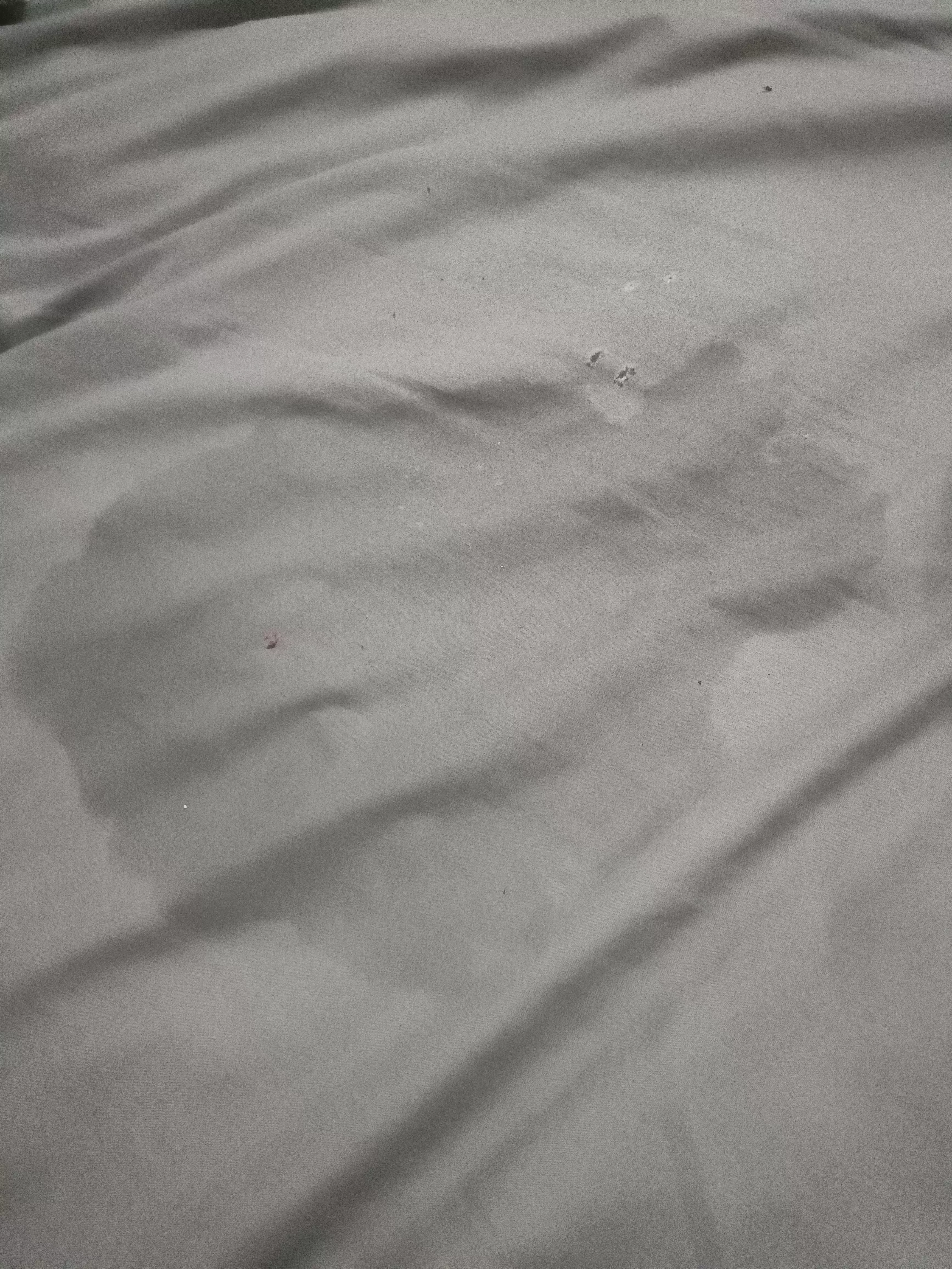 she squirted again posted by OkZookeepergame9029