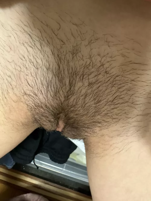 Still short hair by draconia777