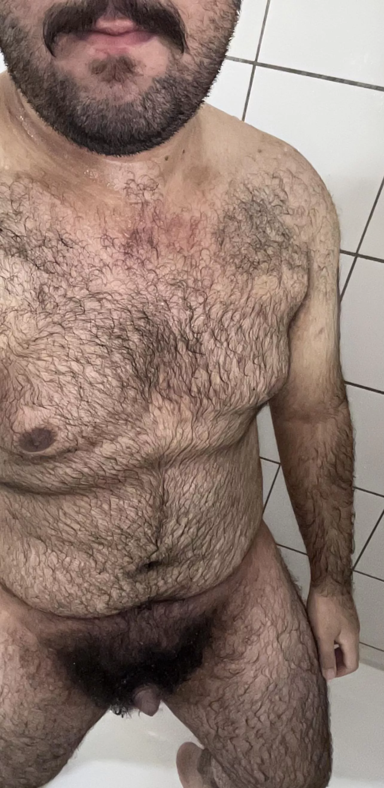 This 20 year old bottom cub needs an owner, perhaps a bf posted by MelAelZel