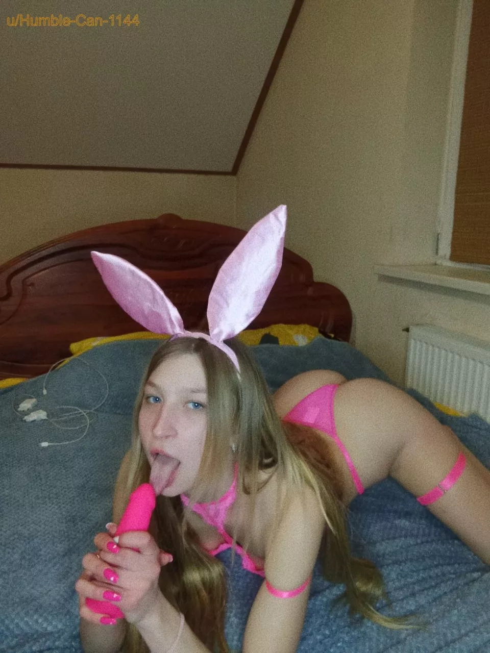 Your easter bunny is already playing with some toy posted by Humble-Can-1144