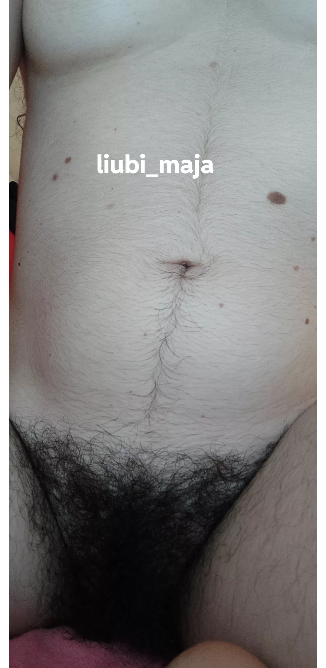 can I be your rug queen? posted by Liubimaja4u