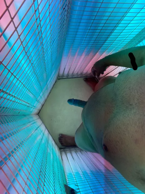 Daddy likes to stay tan. by nopenahoknah