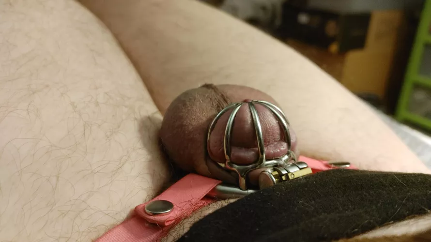 day 14 of 28 by sorrylittleone2