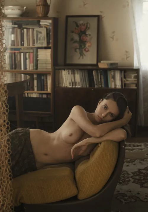 Her bookcases by Nearby2902