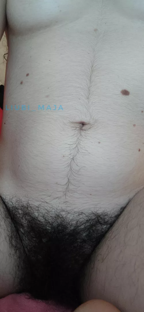 I love my dark forest by Liubimaja4u