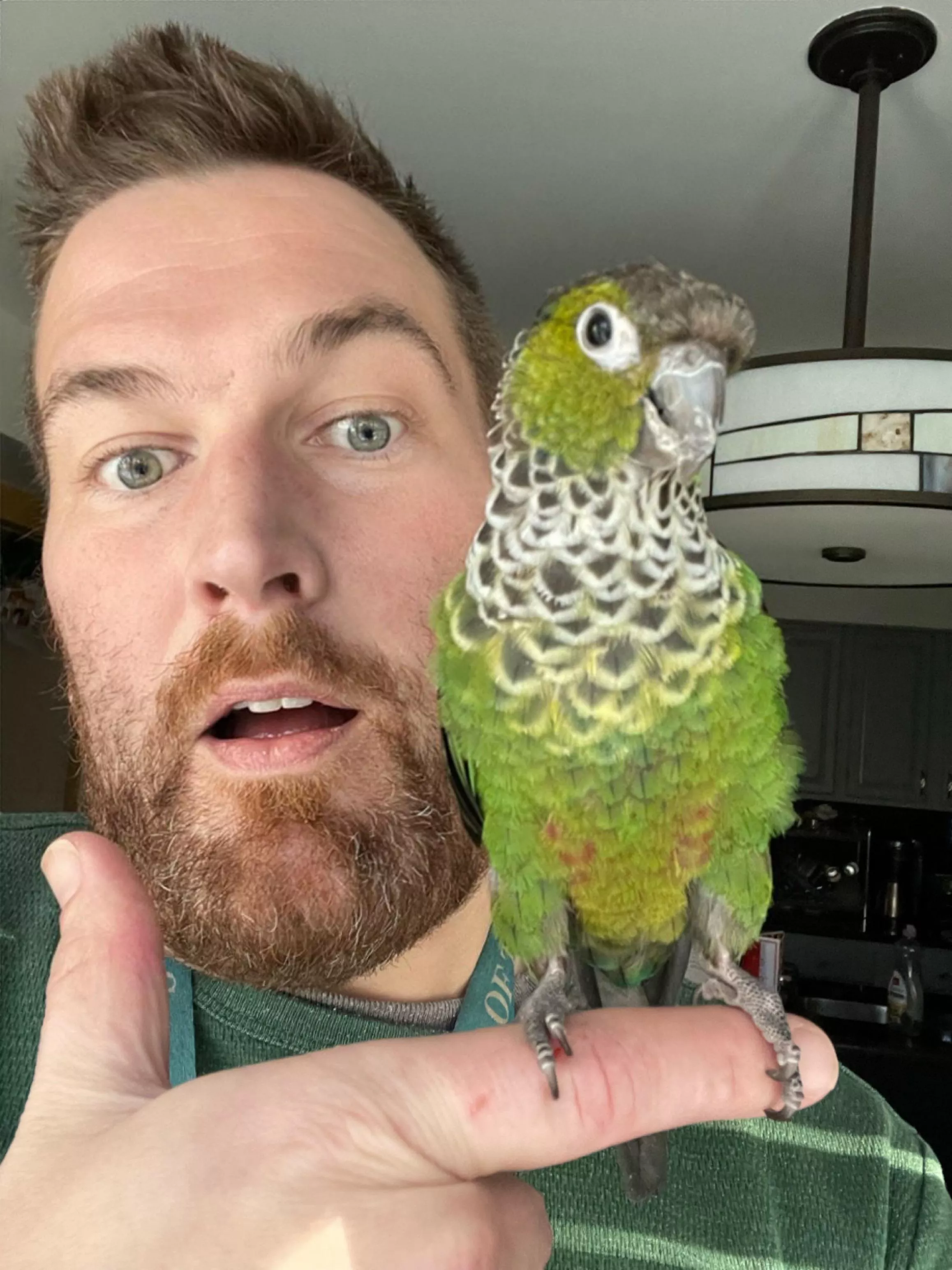 I’m not being sexy but here’s my conure named Alistair. posted by Bryancreates