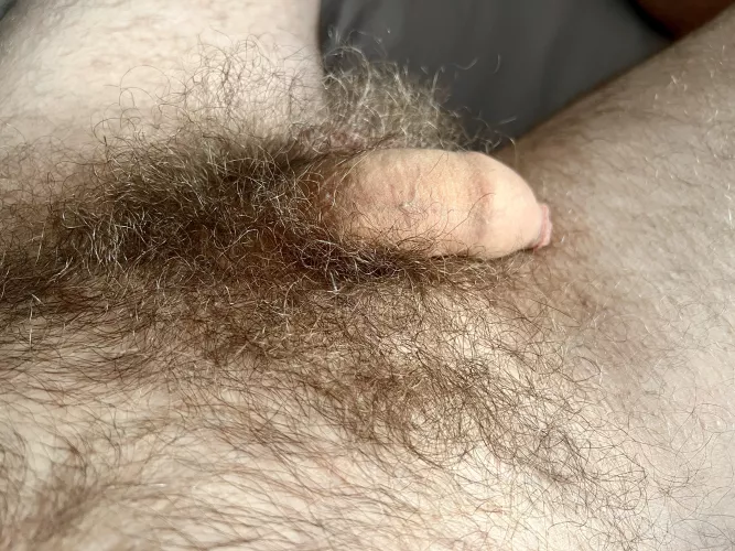 My sleepy cock by jamiesmithers72