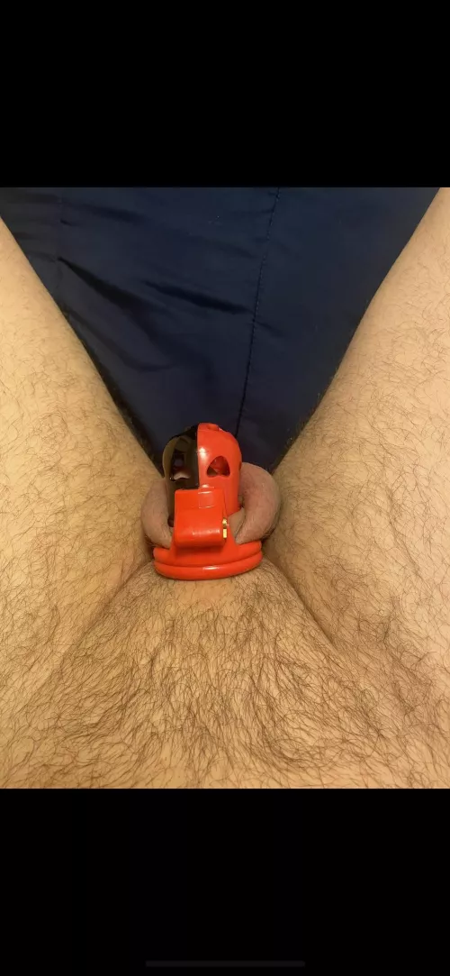 Question about comfort. The bottom really hurts and rubs me almost raw. Any help is appreciated. by wifesharer1112