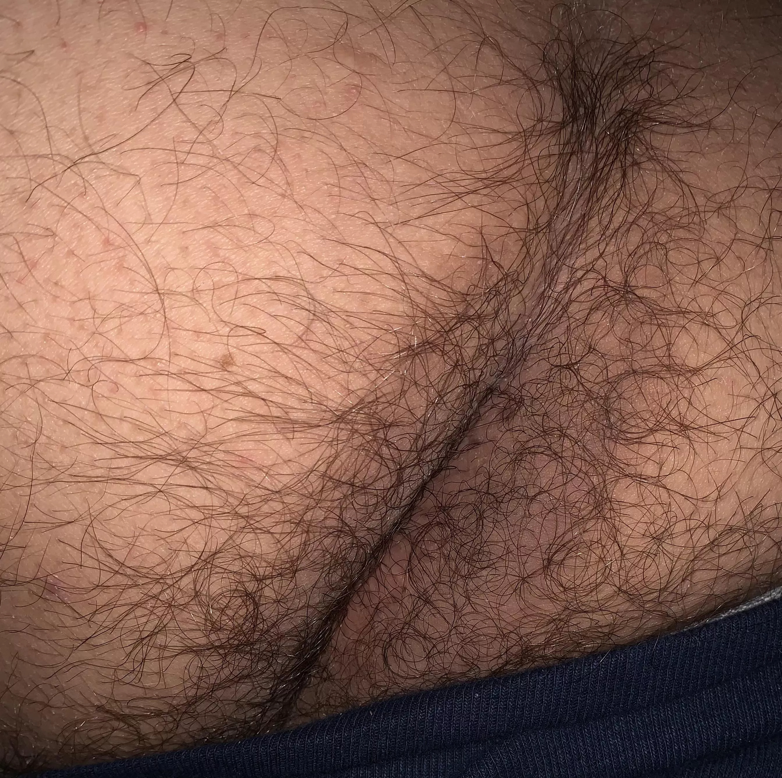 Quick hi 🦉 posted by lowestselfsteembear