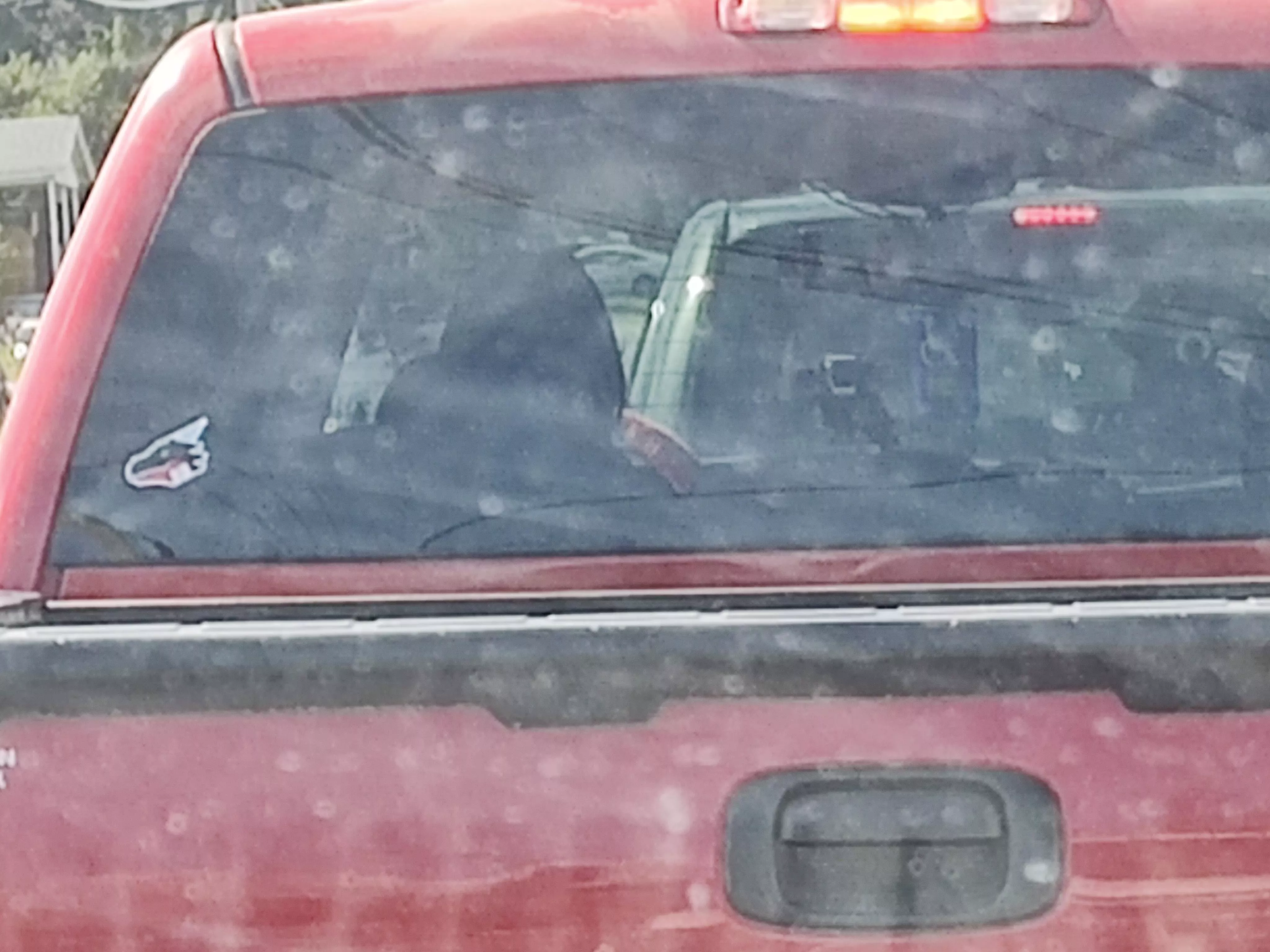 Saw my first sticker out in the wild today posted by GrapefruitClassic591